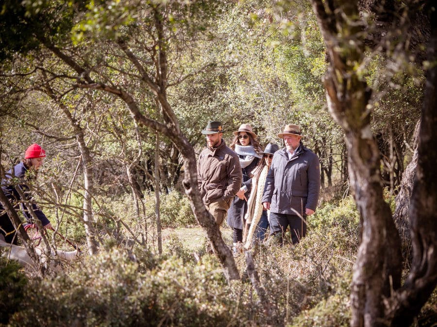 24 natural history museum meteora mushroom museum.jpg